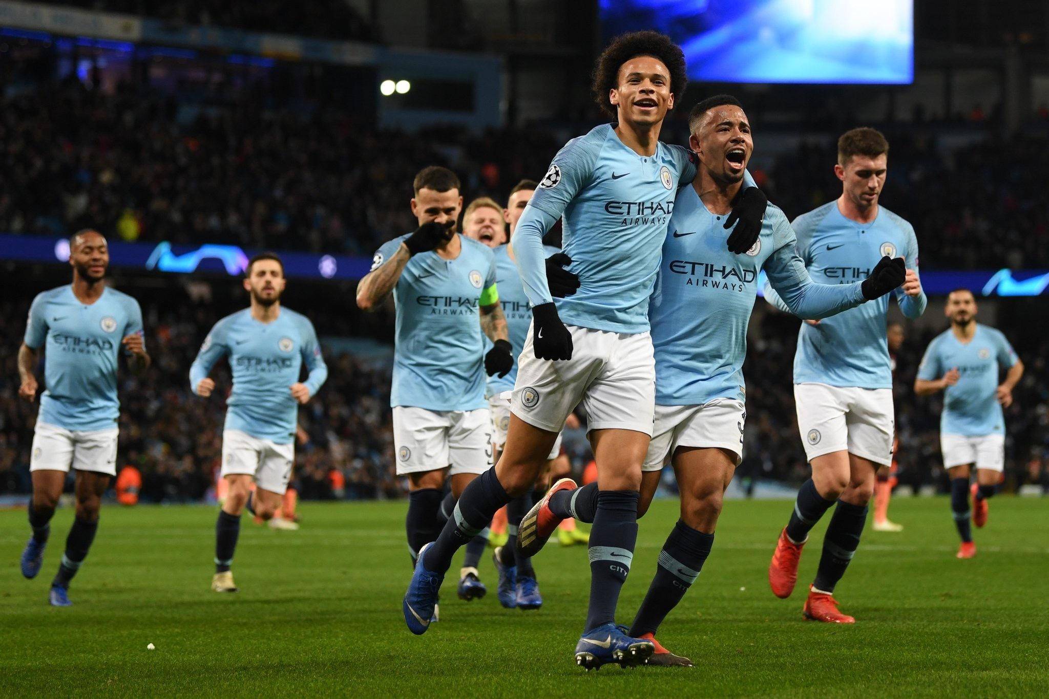 猫头鹰已经 猫头鹰已经